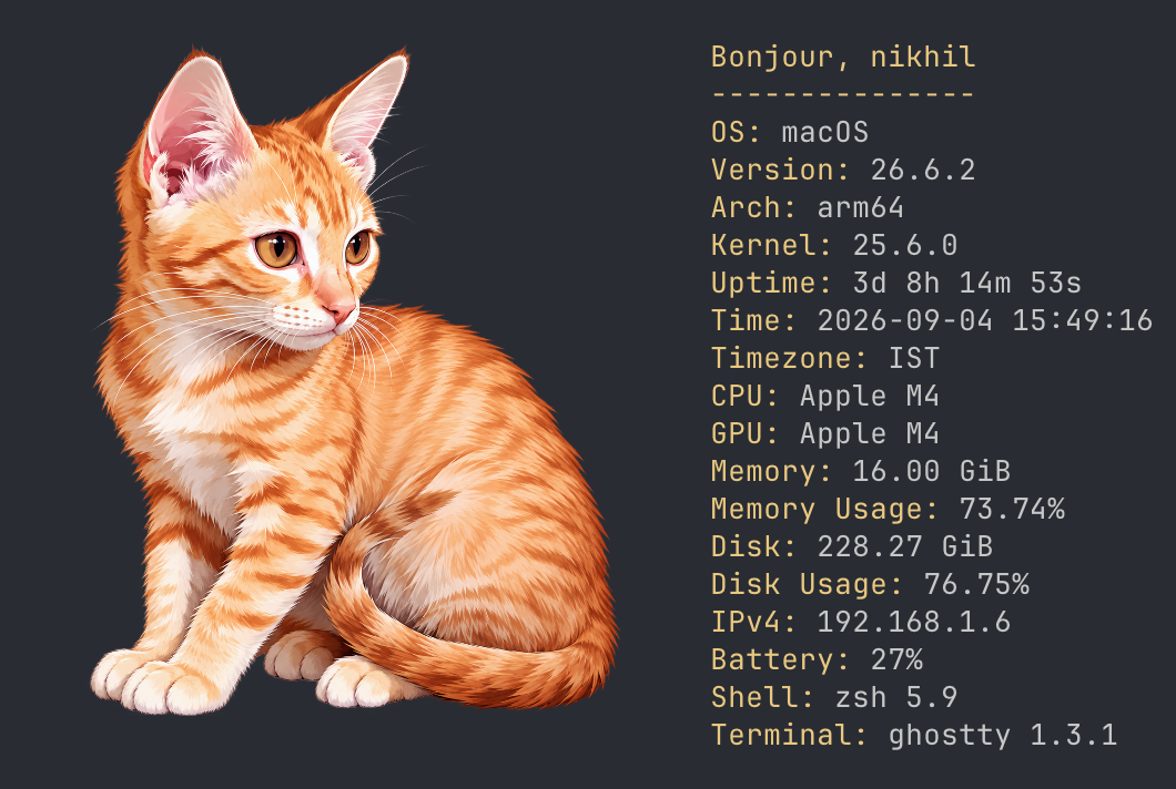 Purrpeek rendering system information in a terminal